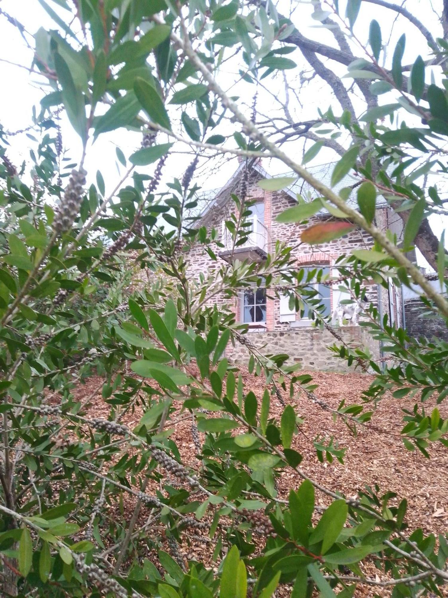 Вілла Domaine Le Gaudin - Saint Jean Le Thomas Номер фото